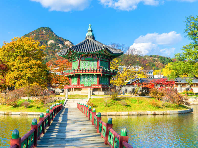 Lời Khuyên và Thông Tin Liên Hệ Tư Vấn