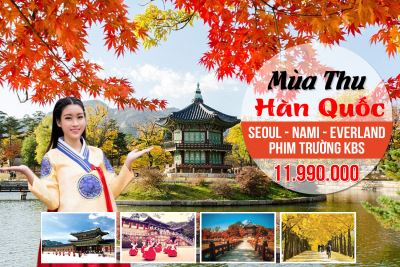 Chỉ 500K Có Book Được Tour Hàn Quốc Không: Kibitravel Giải Mã Sự Thật