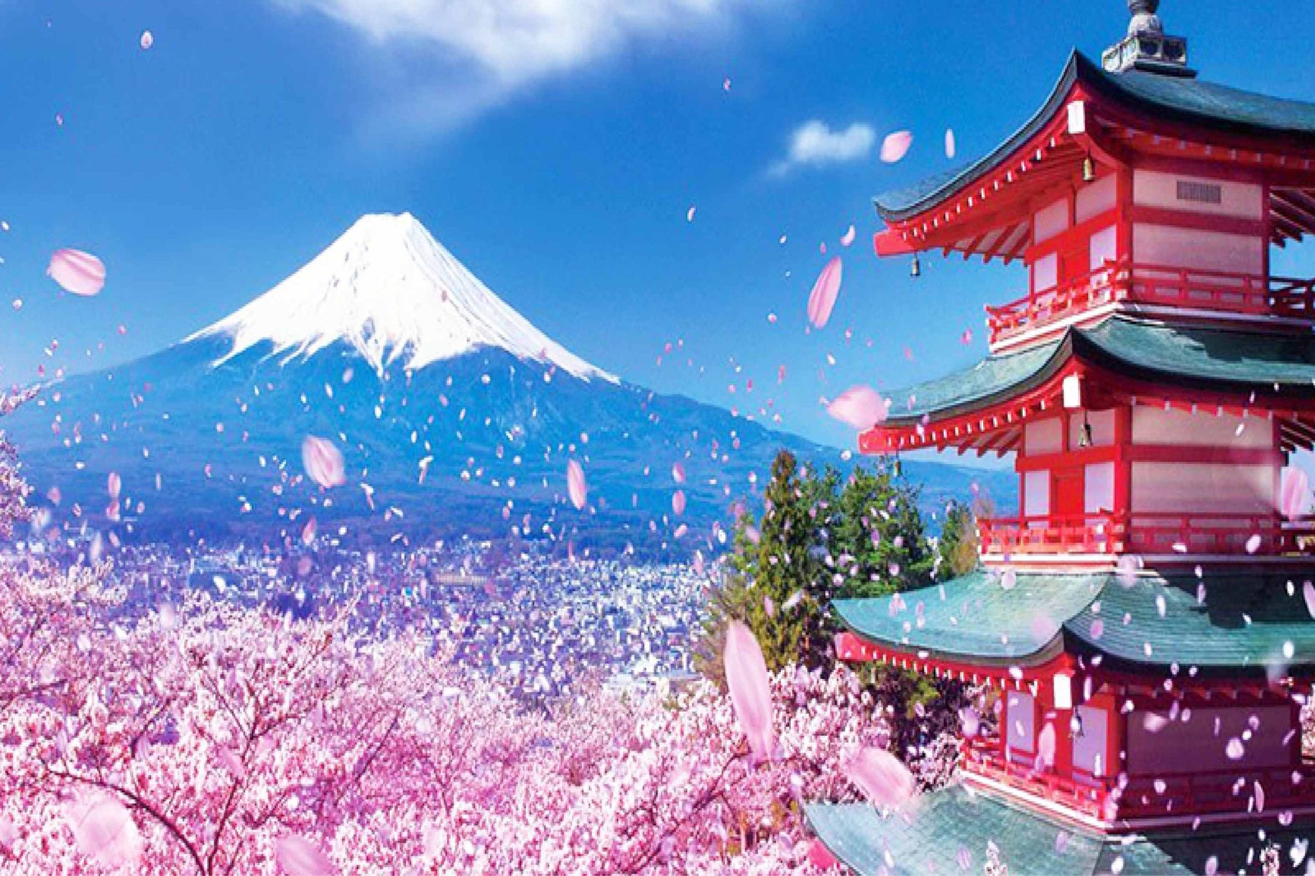 Nhật Bản điểm đến ưu thích của khách du lịch vào mùa xuân với hoa đào rực rỡ