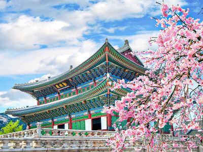 Mẹo Tìm Tour Hàn Quốc Giá Sốc: Hướng Dẫn Từ Kibitravel