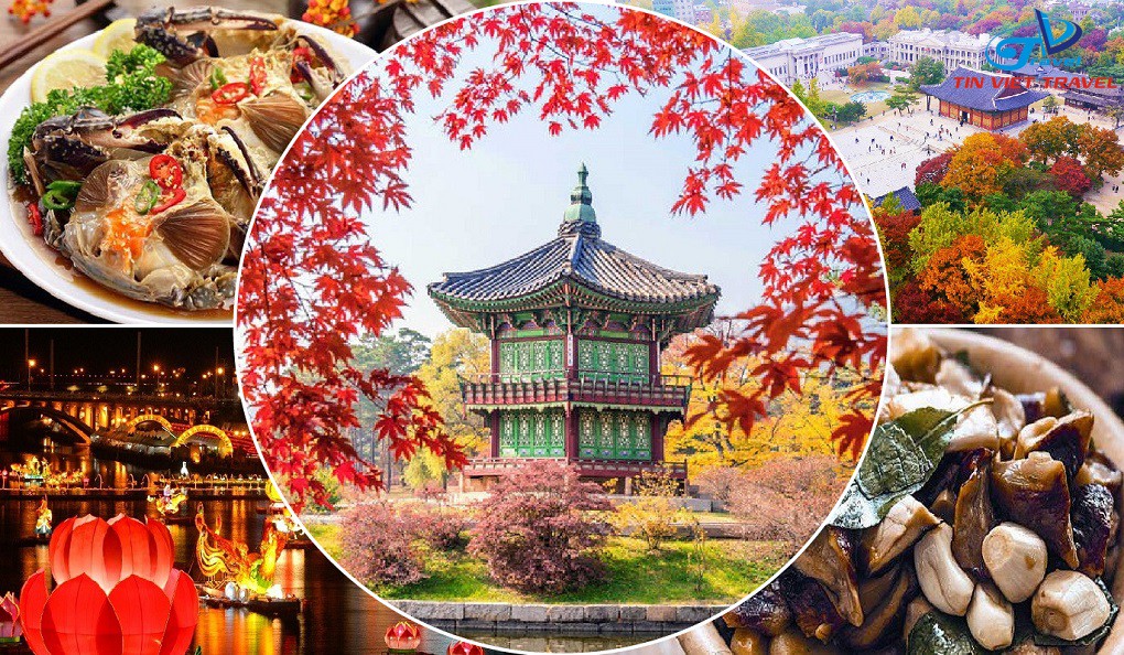 Phân Tích Yếu Tố Quyết Định Giá Tour và Cách Tối Ưu Chi Phí