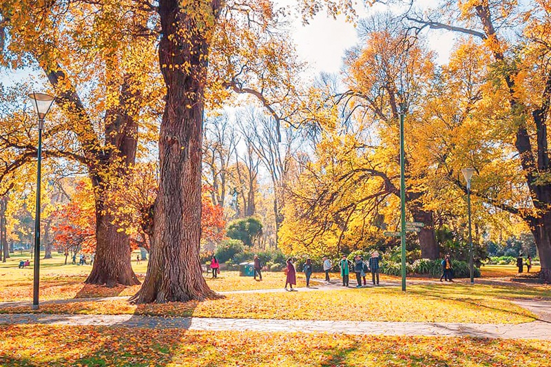 khu vườn royal botanic garden tại Sydney - tour khám phá Úc của Kibitravel